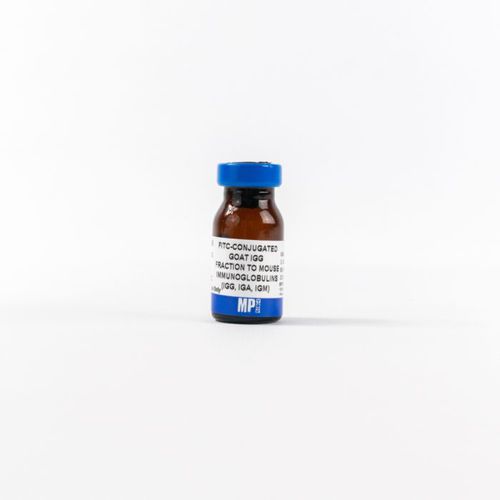 IgG免疫球蛋白G试剂 - 0855499 - MP Biomedicals - 抗体 / 用于研究 / 用于免疫组织化学