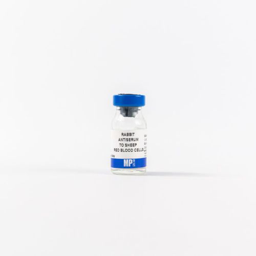 总蛋白试剂 - 0855800 - MP Biomedicals - 多克隆抗体 / 用于研究 / 组织