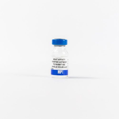 IgG免疫球蛋白G试剂 - 0855641 - MP Biomedicals - 抗体 / 酶 / 用于研究