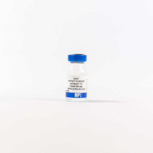 IgG免疫球蛋白G试剂 - 0856984 - MP Biomedicals - 抗体 / 用于研究 / 组织