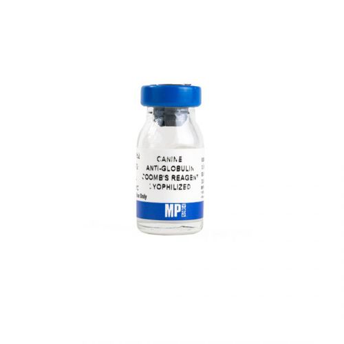 IgG免疫球蛋白G试剂 - 08646352 - MP Biomedicals - 抗体 / 血清 / 用于研究