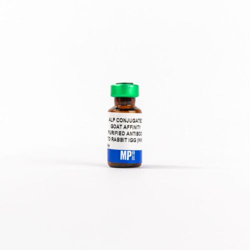 IgG免疫球蛋白G试剂 - 0859298 - MP Biomedicals - 抗体 / 用于研究 / 组织