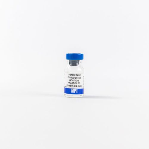 IgG免疫球蛋白G试剂 - 0855676 - MP Biomedicals - 血清 / 山羊血清 / 抗血清