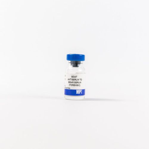 蛋白质试剂 - 0856009 - MP Biomedicals - 抗体 / 抗血清 / 用于研究