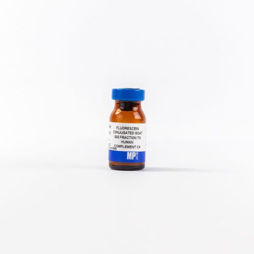 IgG免疫球蛋白G试剂 - 0855168 - MP Biomedicals - 抗体 / 用于研究 / 用于免疫组织化学