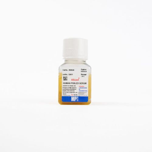 蛋白质试剂 - 0929301-CF - MP Biomedicals - 血清 / 用于研究 / 用于病毒