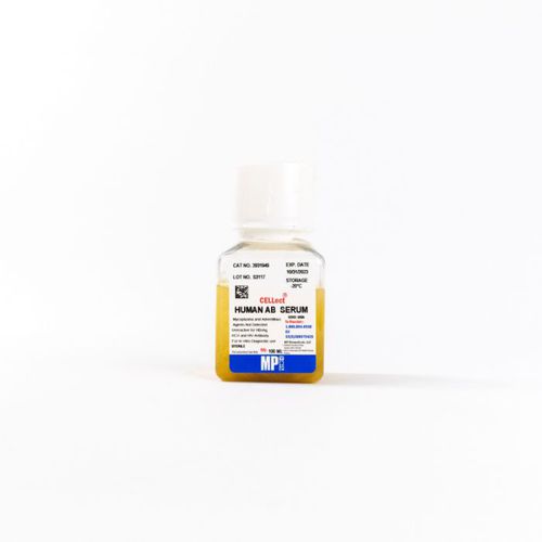 蛋白质试剂 - 092931949 - MP Biomedicals - 血清 / 用于研究 / 用于细胞培养