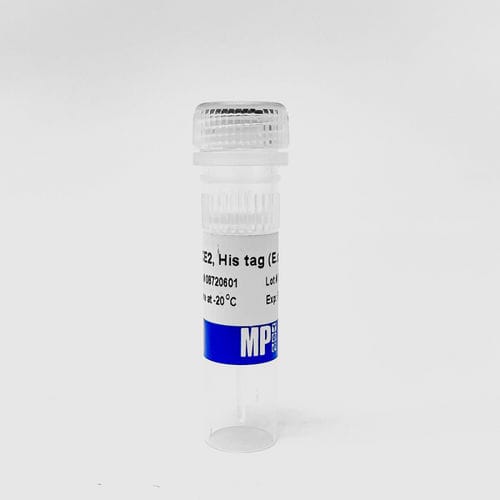 蛋白质试剂 - 0872060-CF - MP Biomedicals - 介质试剂 / 用于研究 / 大肠杆菌