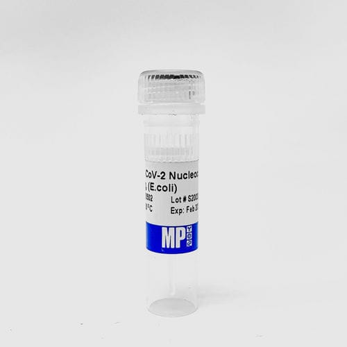 蛋白质试剂 - 0872050-CF - MP Biomedicals - 介质试剂 / 用于研究 / SARS-COV-2
