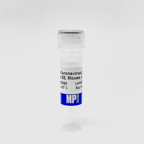 蛋白质试剂 - 08720402 - MP Biomedicals - 抗体 / 单克隆抗体 / 用于研究