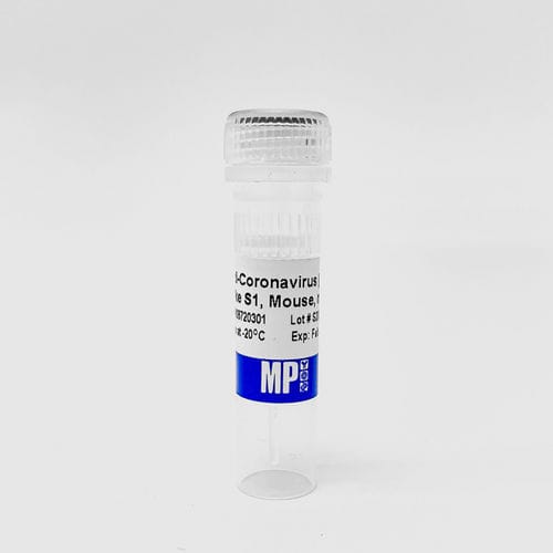 蛋白质试剂 - 08720301 - MP Biomedicals - 抗体 / 单克隆抗体 / 用于研究