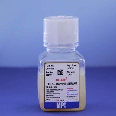 胎牛血清试剂 - 0929168-CF - MP Biomedicals - 用于细胞培养 / 用于研究 / 液体