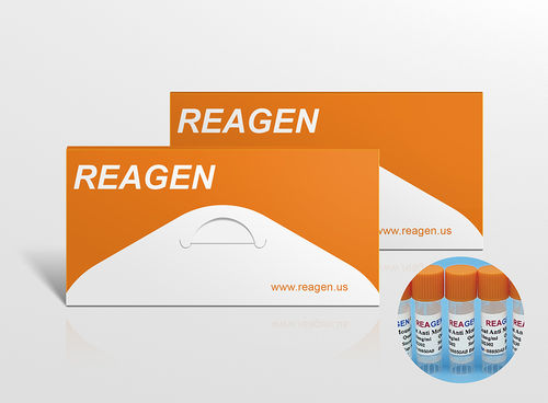 抗原试剂 - RMH88813AG - Reagen - 用于科研 / 液体 / 化学发光