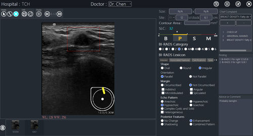医学报告软件 - BR-FHUS Viewer™ - TaiHao Medical - 查看 / 诊断 / 乳腺癌筛查