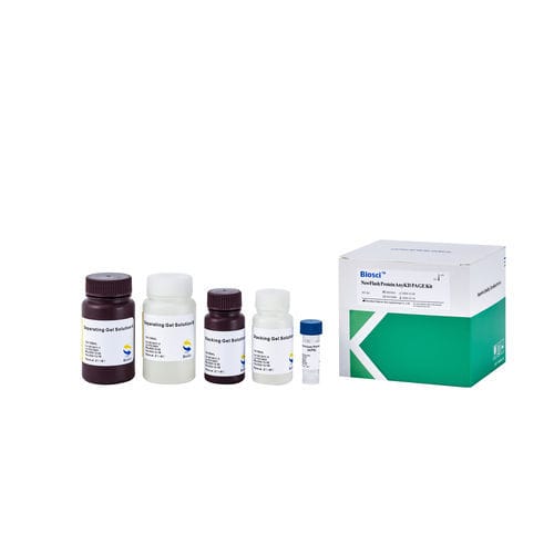蛋白质印迹试剂 - BioSci™  - Dakewe (Shenzhen) Medical Equipment Co., Ltd. - 溶液 / 用于研究 / 蛋白质