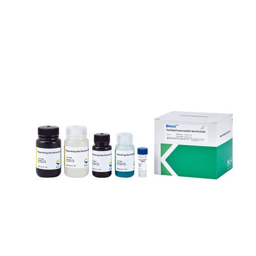 蛋白质印迹试剂 - BioSci™  - Dakewe (Shenzhen) Medical Equipment Co., Ltd. - 溶液 / 用于研究 / 液体