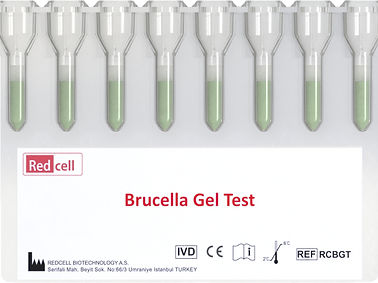 传染病快速诊断套装 - Redcell Biotechnology - 布鲁氏菌