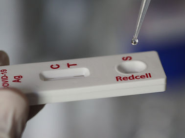COVID-19新冠病毒快速诊断检测 - RCCOVST   - Redcell Biotechnology - 抗体 / SARS-COV-2 / 鼻部