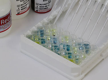 ELISA试剂盒 - Redcell Biotechnology - COVID-19新冠病毒 / 免疫 / 用于中和抗体