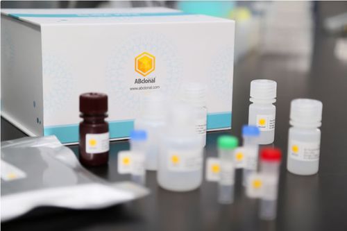 ELISA快速诊断套装 - RK04149 - ABclonal Technology - 用于研究 / 用于中和抗体 / 铜