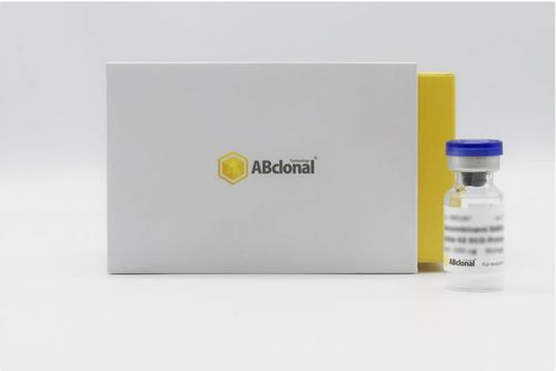 重组抗原试剂 - RP00002 - ABclonal Technology - 用于研究 / 细胞凋亡 / 冻干