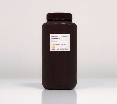 蛋白酶K试剂 - RP02503 - ABclonal Technology - 用于研究 / 冻干 / 粉末