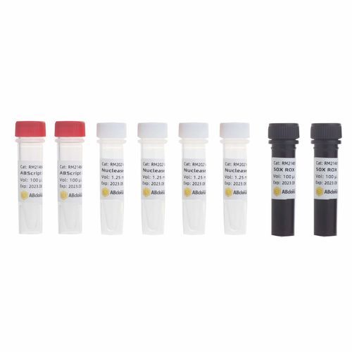Taq-DNA聚合酶试剂套装 - RK20407 - ABclonal Technology - 缓冲溶液 / 染色 / RT-qPCR
