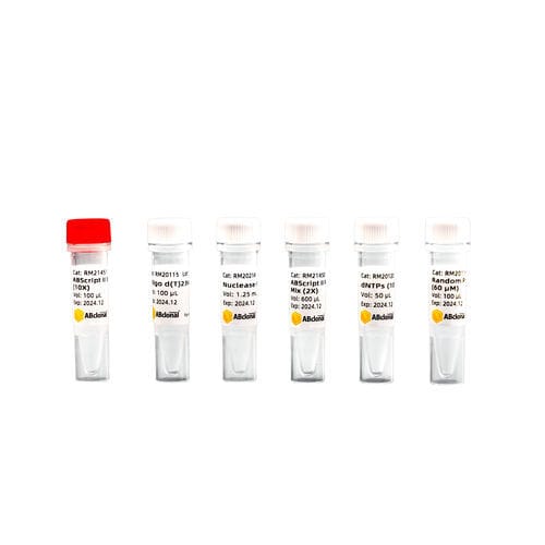 逆转录酶试剂 - RK20400 - ABclonal Technology - RT-PCR / 用于cDNA合成