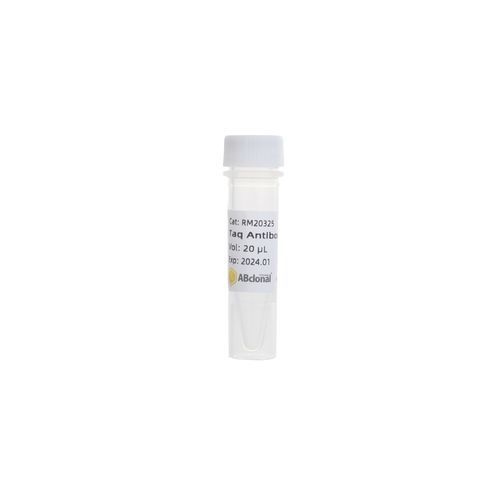 单克隆抗体试剂 - RK20545 - ABclonal Technology - Taq-DNA聚合酶 / PCR / 热启动式