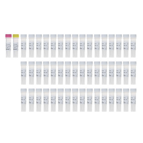 介质试剂试剂 - RK20294 - ABclonal Technology - PCR / 用于二代测序 / 杂交
