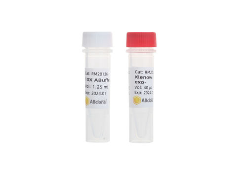 DNA聚合酶试剂 - RK20526 - ABclonal Technology - PCR / 大肠杆菌