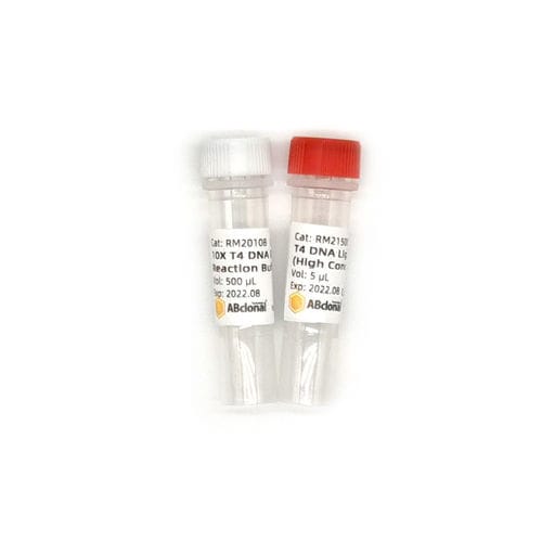 缓冲溶液试剂 - RK21500 - ABclonal Technology - DNA连接酶 / 用于微生物学 / 磷酸盐