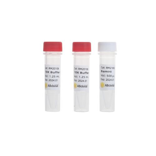 酶试剂 - RK21101 - ABclonal Technology - 用于微生物学 / pH值 / 甘油