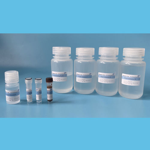 基于磁珠试剂套装 - EmerTher® Viral  - The EmerTher Company - DNA提取 / RNA提取 / 基因