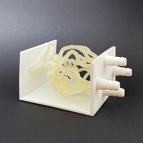 血管血管模型 - Schiner3DRepro - 用于血管外科手术 / 培训