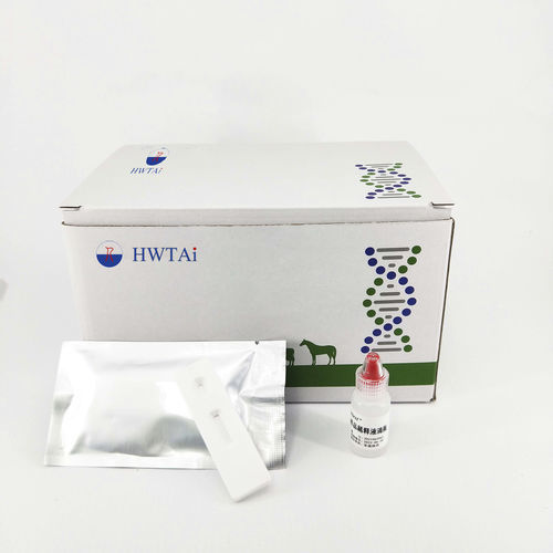 布鲁氏菌病快速诊断套装 - HWTAi - 动物 / 山羊 / 牛