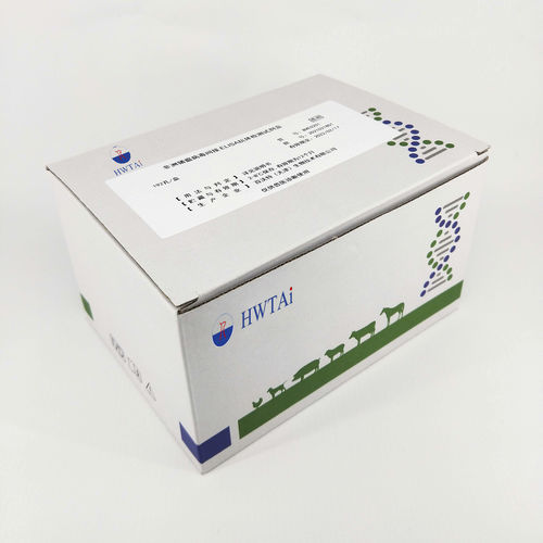传染病快速诊断检测 - HWTAi - 猪用 / 抗体 / 用于病毒