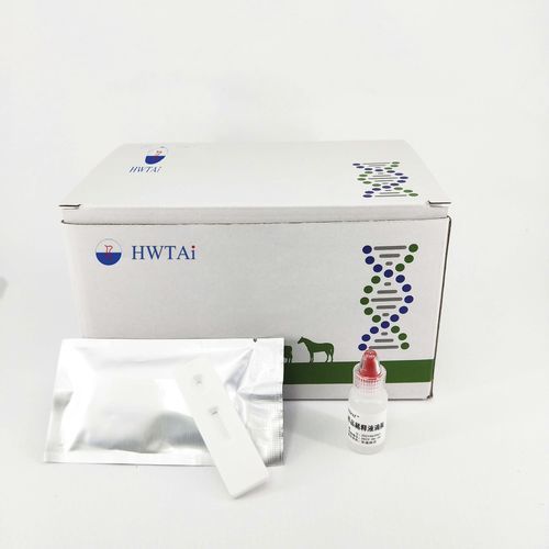 白血病快速诊断检测 - HWTAi - 兽用 / 禽类 / 抗体