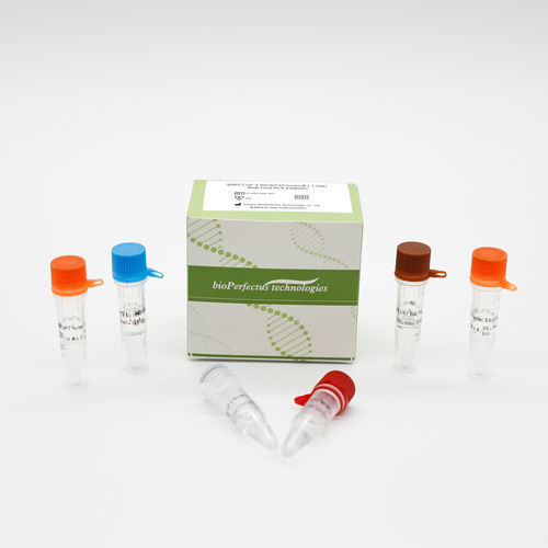 研究快速诊断套装 - RUO - Jiangsu Bioperfectus Technologies Co., Ltd. - SARS-COV-2 / 鼻咽 / 痰