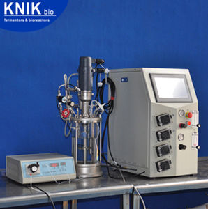 实验室生物反应器 - GC series - KNIK CO.,LTD. - 用于微生物发酵 / 冷却 / 加压加热
