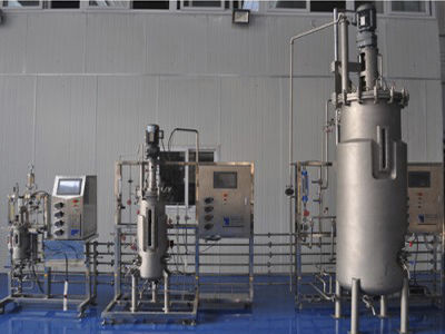 实验室生物反应器 - BLBIO-50SJ-500SJ-250SJ-300SJ - KNIK CO.,LTD. - 用于微生物发酵