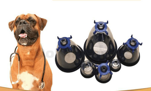 麻醉兽用口罩 - Shandong Dolphinmed Technology - 啮齿动物 / 用于猫科动物 / 犬用