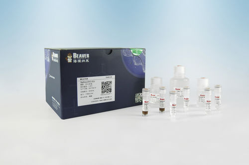 溶液试剂套装 - BeaverBeads™  - BEAVER - DNA提取 / 基因组DNA