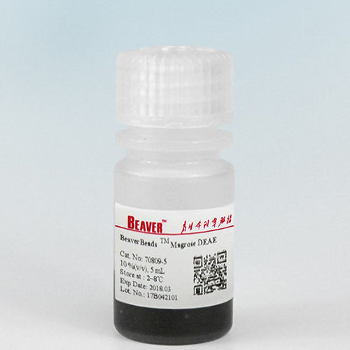 基于磁珠试剂 - BeaverBeads™ DEAE - BEAVER - 用于蛋白质提纯