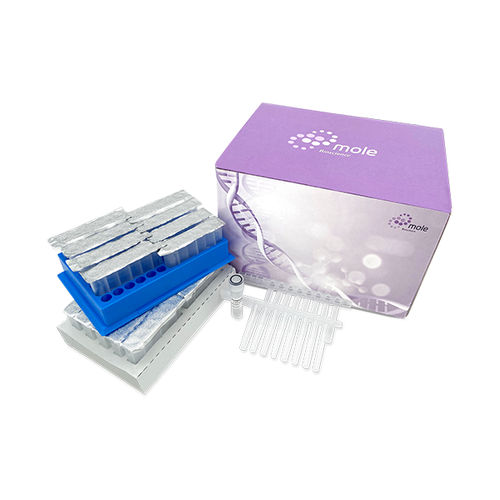 核酸试剂套装 - P12002T2040 - Jiangsu Mole Bioscience - DNA提取 / RNA提取 / 液体