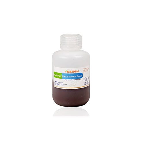 溶液试剂 - Hieff NGS™  - Yeasen Biotechnology (Shanghai) Co., Ltd - 基于磁珠 / NGS / DNA纯化
