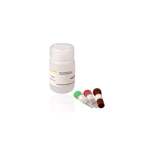 微生物学快速诊断套装 - 12640ES series - Yeasen Biotechnology (Shanghai) Co., Ltd - 用于DNA鉴定 / DNA / 荧光