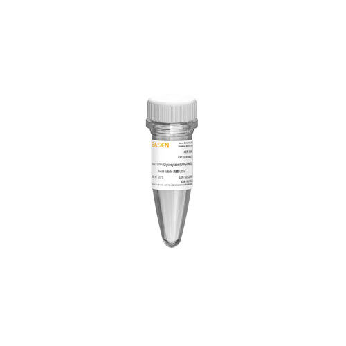 PCR试剂 - 10184ES series - Yeasen Biotechnology (Shanghai) Co., Ltd - DNA聚合酶 / 染色 / 用于微生物学