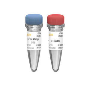 DNA连接酶试剂 - 10300ES series - Yeasen Biotechnology (Shanghai) Co., Ltd - 用于研究 / ATP