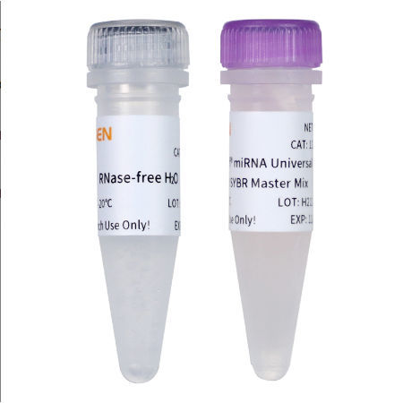 DNA聚合酶试剂 - 11171ES series - Yeasen Biotechnology (Shanghai) Co., Ltd - 染色 / 用于科研 / qPCR